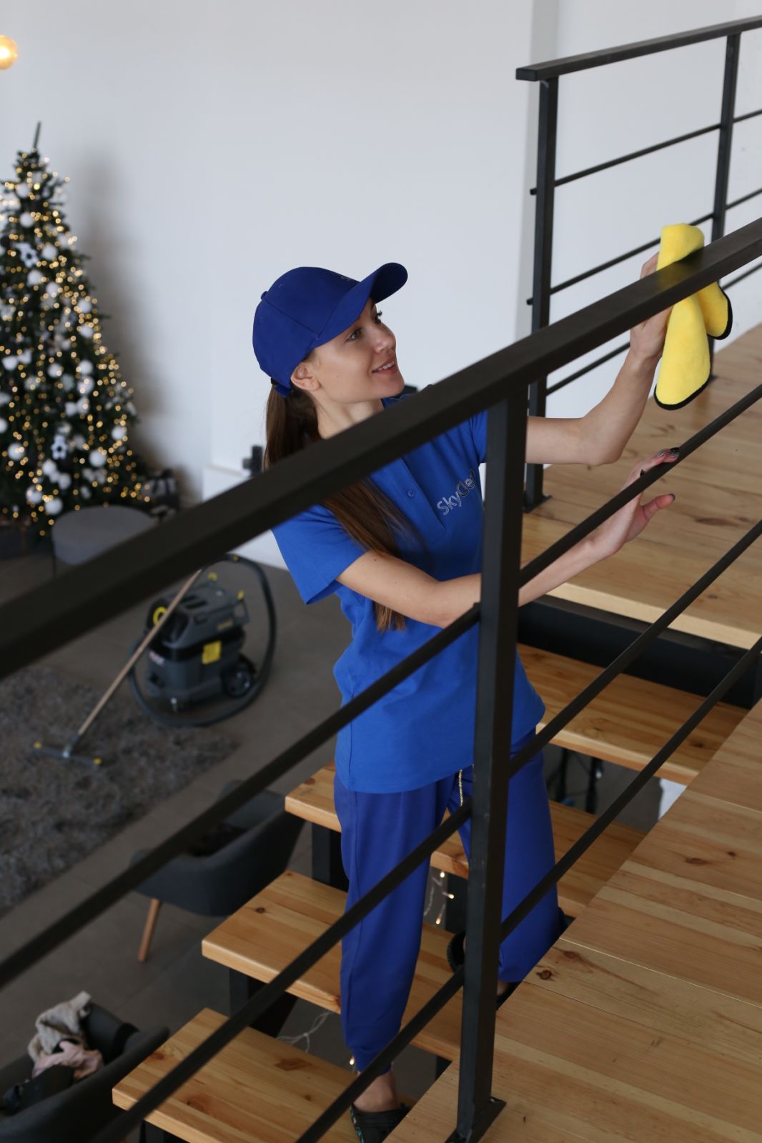Standart Cleaning